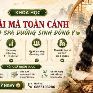 Giải Mã Tiềm Năng Ngành Dưỡng Sinh